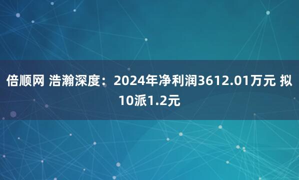 倍顺网 浩瀚深度：2024年净利润3612.01万元 拟10派1.2元