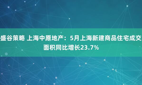 盛谷策略 上海中原地产：5月上海新建商品住宅成交面积同比增长23.7%