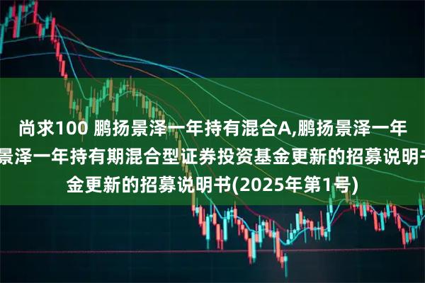 尚求100 鹏扬景泽一年持有混合A,鹏扬景泽一年持有混合C: 鹏扬景泽一年持有期混合型证券投资基金更新的招募说明书(2025年第1号)
