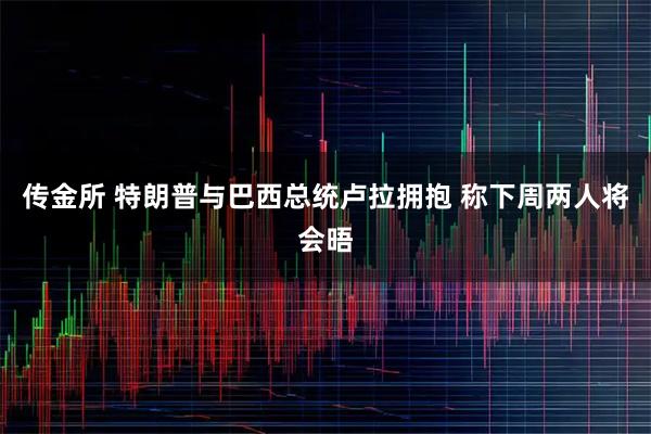 传金所 特朗普与巴西总统卢拉拥抱 称下周两人将会晤