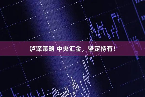 泸深策略 中央汇金，坚定持有！